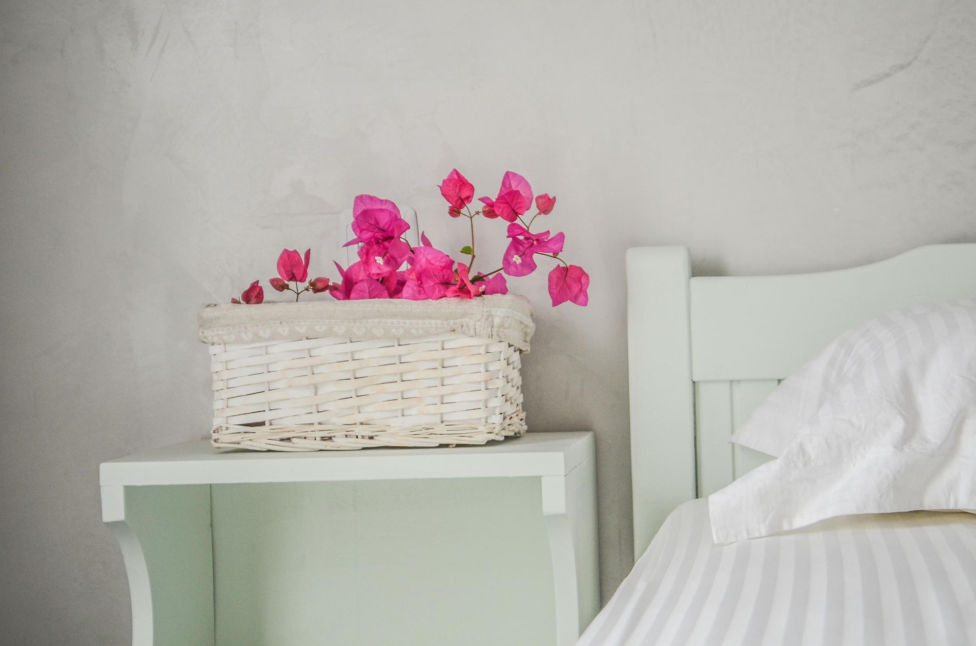 Olga Apart otel Chora  Dış mekan fotoğraf